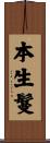本生鬘 Scroll