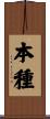 本種 Scroll