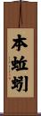本蚯蚓 Scroll