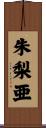 朱梨亜 Scroll
