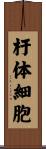 杆体細胞 Scroll