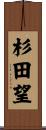 杉田望 Scroll
