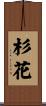 杉花 Scroll