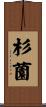 杉薗 Scroll