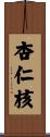 杏仁核 Scroll