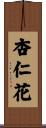 杏仁花 Scroll