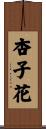 杏子花 Scroll