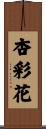 杏彩花 Scroll