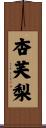杏芙梨 Scroll