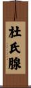 杜氏腺 Scroll