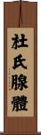 杜氏腺體 Scroll