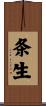 条生 Scroll