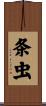 条虫 Scroll