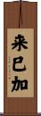 来巳加 Scroll