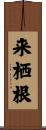 来栖根 Scroll