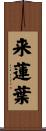 来蓮葉 Scroll