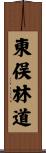 東俣林道 Scroll