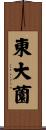 東大薗 Scroll