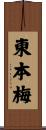東本梅 Scroll