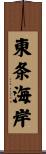東条海岸 Scroll