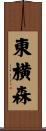 東横森 Scroll