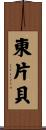 東片貝 Scroll