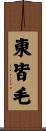 東皆毛 Scroll