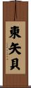 東矢貝 Scroll
