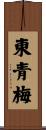 東青梅 Scroll