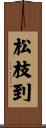 松枝到 Scroll