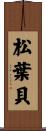 松葉貝 Scroll