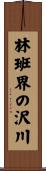 林班界の沢川 Scroll