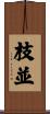 枝並 Scroll