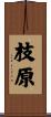枝原 Scroll