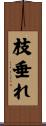 枝垂れ Scroll