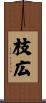 枝広 Scroll