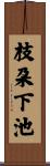枝朶下池 Scroll