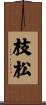 枝松 Scroll