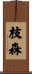 枝森 Scroll