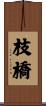 枝橋 Scroll