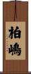 柏嶋 Scroll