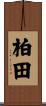 柏田 Scroll
