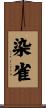 染雀 Scroll