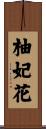 柚妃花 Scroll