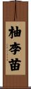 柚李苗 Scroll