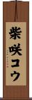 柴咲コウ Scroll