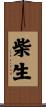 柴生 Scroll