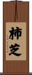 柿芝 Scroll