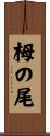 栂の尾 Scroll