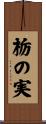 栃の実 Scroll